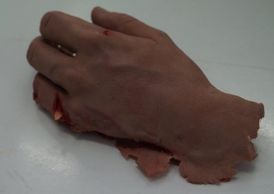 Abgerissene Hand mit modellierten Knochen und Gelenk